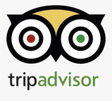 logo, icon
