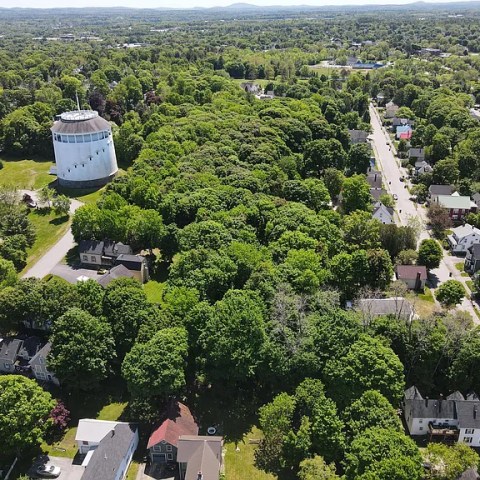 Aerial view of a green landscape with houses and a water tower.