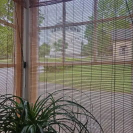 View through bamboo blinds to a green garden and white building outside.