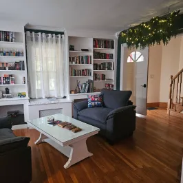 Cozy living room with bookshelves, two armchairs, coffee table, and ceiling decoration with lights.